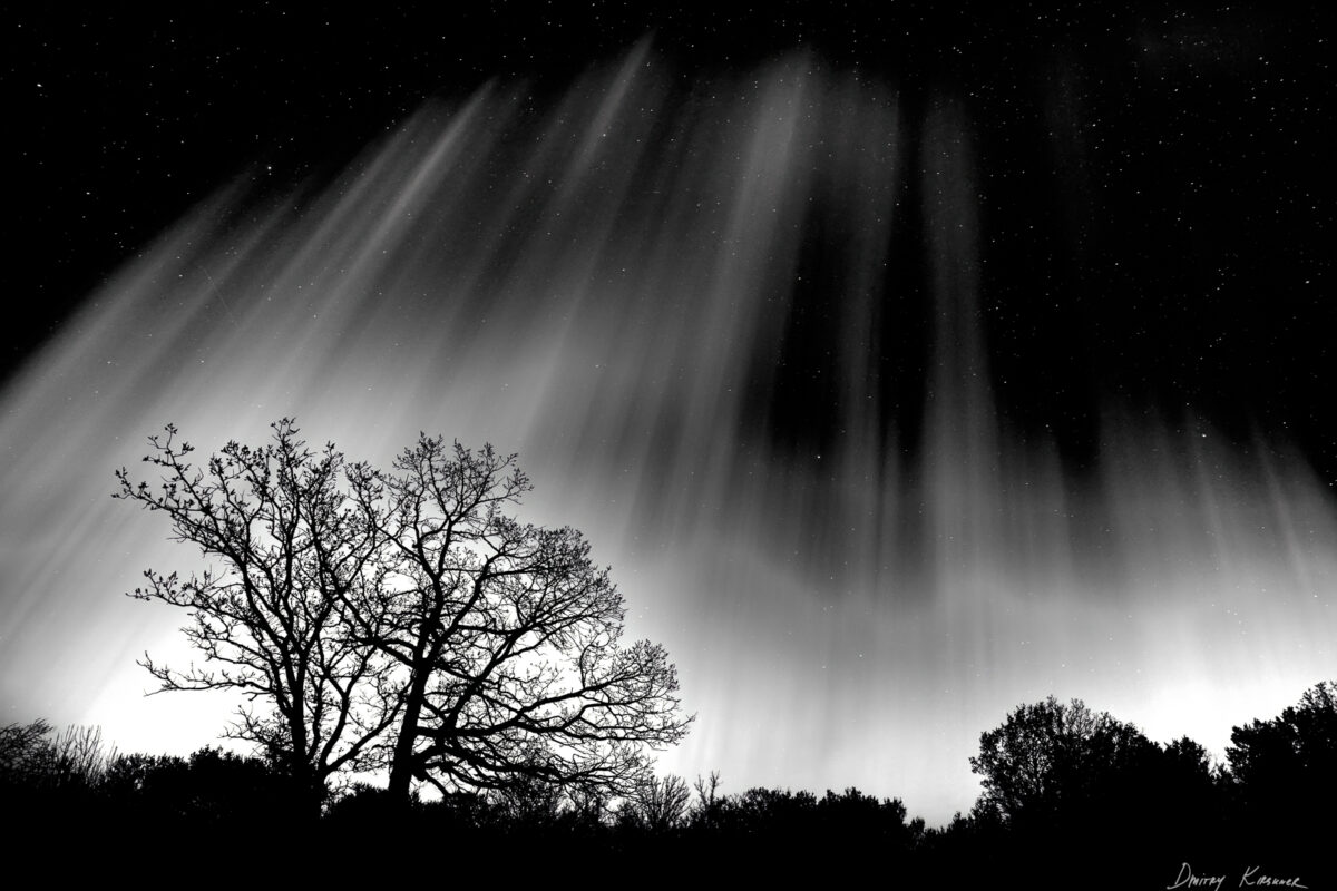 Aurora at Tolstoi with Ryan Lucenkiw & Ryan Wierckx