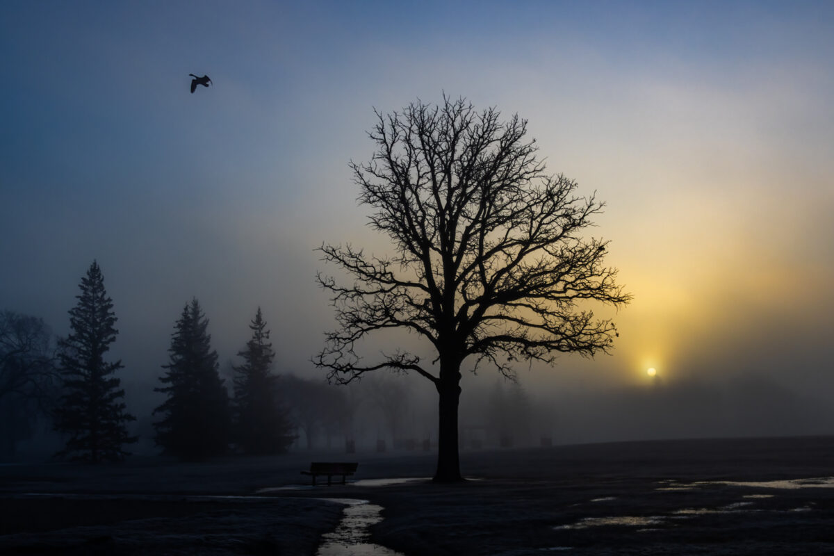 Moody Manitoba Morning